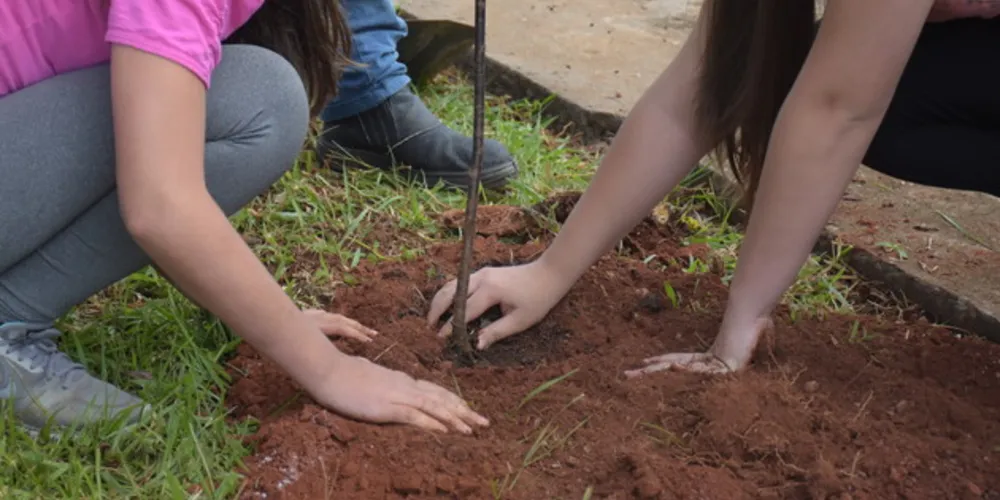 Os escoteiros da cidade fizeram o plantio das árvores. A atividade faz parte de uma ação de educação ambiental
