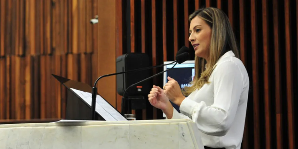 Deputada estadual usou tribuna para comentar sobre agenda com secretário e importância de discutir sobre Educação