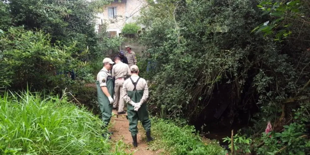 De acordo com informações, as equipes de perícia não encontraram nenhum sinal de violência