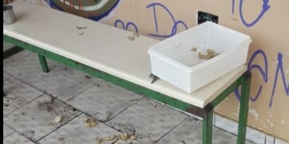 Vândalos deixaram muita sujeira e chegaram a cozinhar arroz e fritar batatas