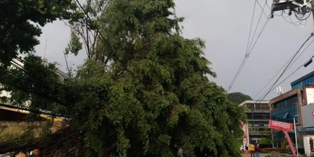 Na cidade paulista de Mauá, quatro crianças morreram com deslizamento de terra 