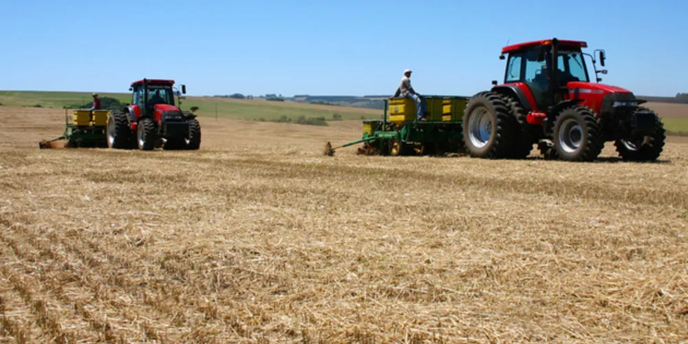 Área plantada foi maior, mas a seca fez com que a produção agrícola fosse menor 