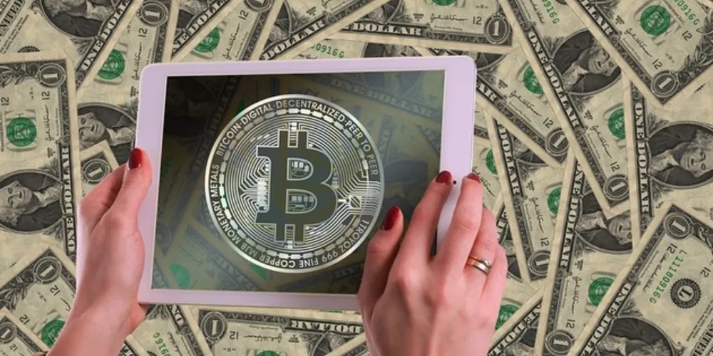 Imagem ilustrativa da imagem Na contramão da crise, lojas online continuam a prosperar