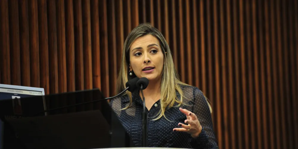 Deputada solicitou medidas emergenciais durante discurso na tribuna da Assembleia