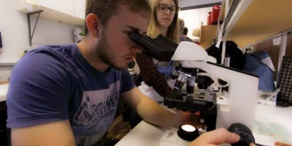 As vagas foram divididas entre os seis setores de conhecimento da universidade 
