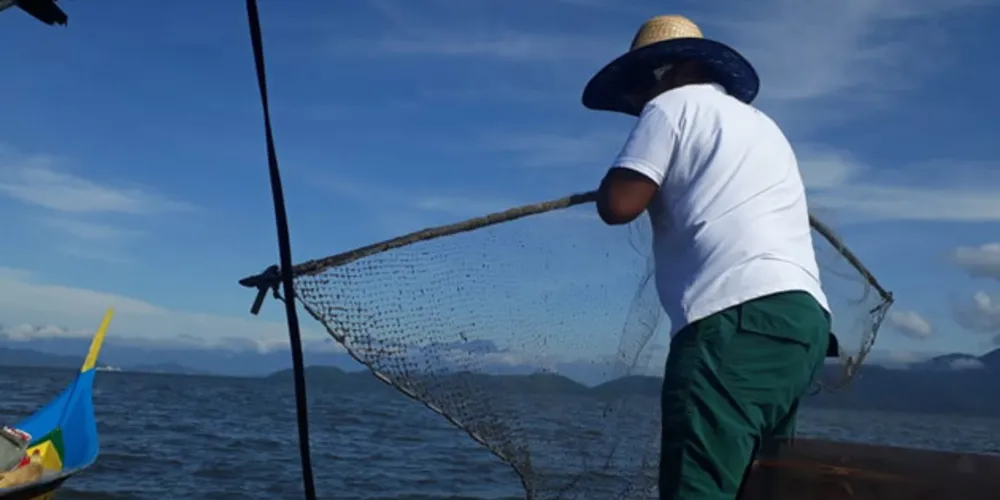 Pesca volta a estar liberada no Paraná a partir desta sexta-feira