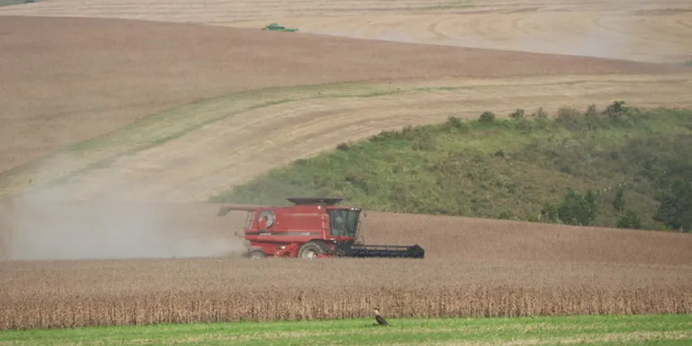 Perdas são maiores aos produtores que plantaram no início da janela e já colheram o grão. Campos Gerais foi uma região pouco afetada