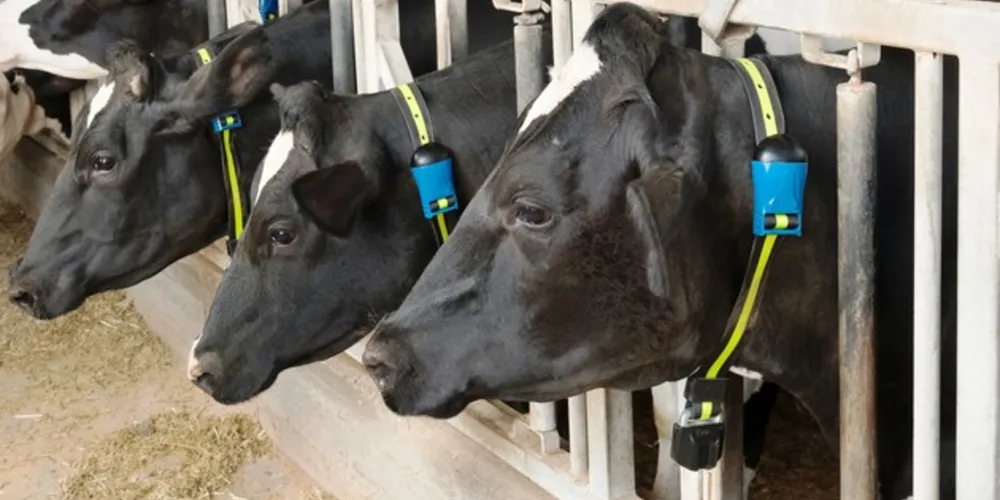 Plataforma contribui para os pecuaristas otimizarem a produtividade e o bem-estar dos animais, com foco em obter uma operação mais sustentável e lucrativa