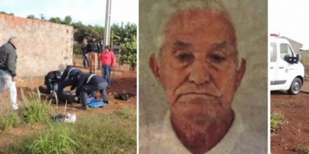 Idoso foi acusado de matar gatos por envenenamento