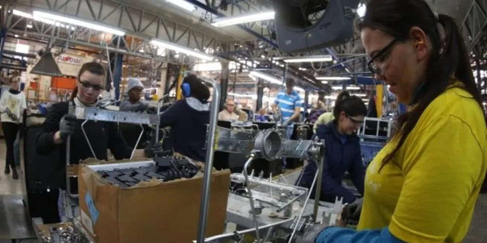 Mulheres dominam alguns segmentos e têm maior nível de escolaridade.
