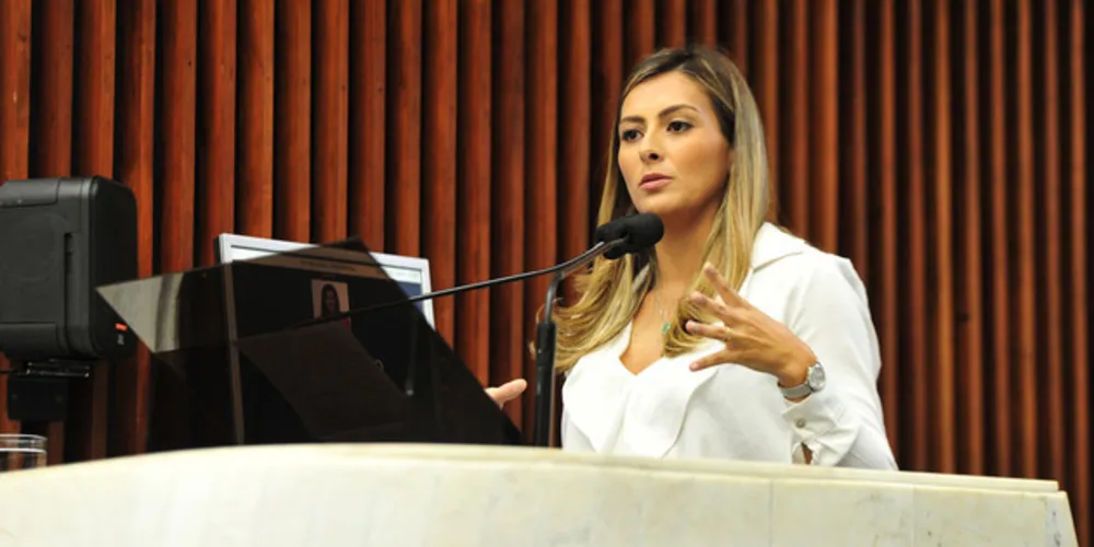 Imagem ilustrativa da imagem Mabel Canto discute feminicídio com deputados na Alep