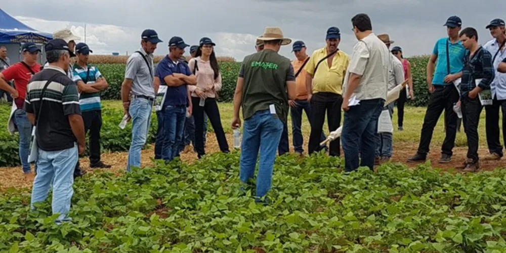 Evento acontece no município de Ponta Grossa