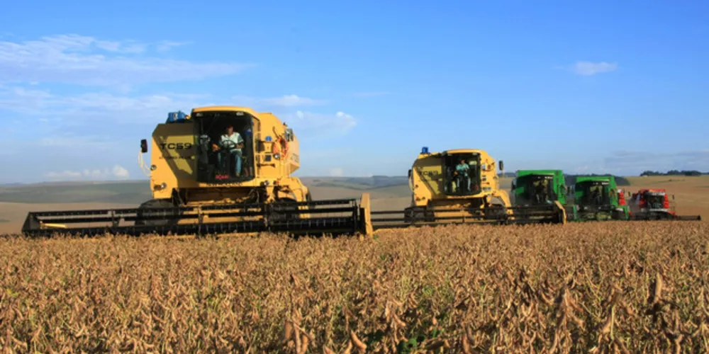 Embora haja queda na produção da soja, perspectiva é de incremento na do milho