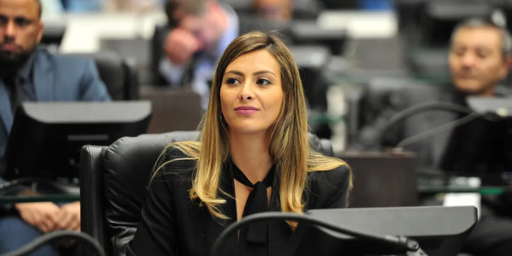 Deputada representa os Campos Gerais na Assembleia Legislativa do Paraná