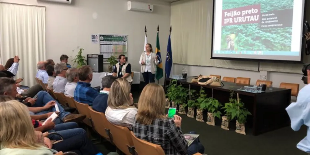 Nova cultivar foi lançada oficialmente nesta quinta-feira (28)