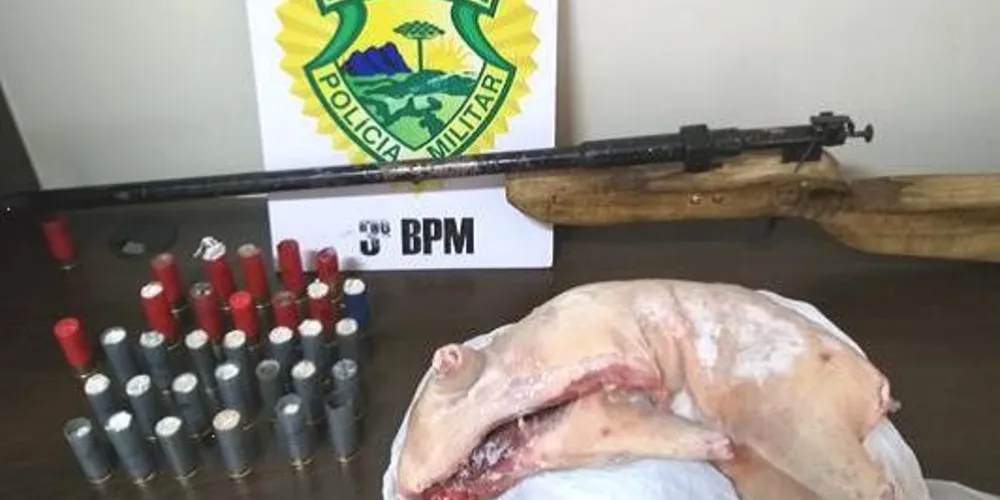 O casal foi encaminhado junto das armas e do animal abatido, para os procedimentos cabíveis