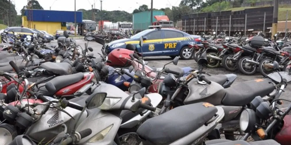 Mais de 600 veículos poderão retornar à circulação após leiloados