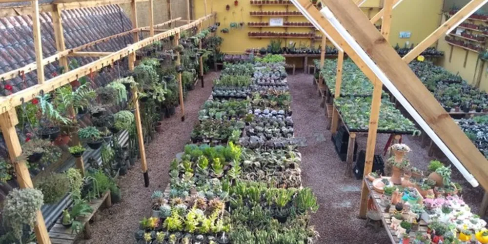 Feira acontece neste final de semana na Nativa Jardinagem.