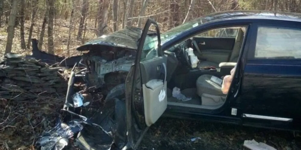 Carro colidiu com árvore após o susto da motorista.