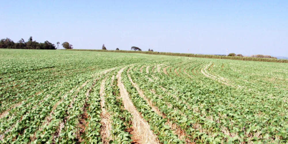 Manual será lançado na 'VI Reunião Paranaense de Ciência do Solo'