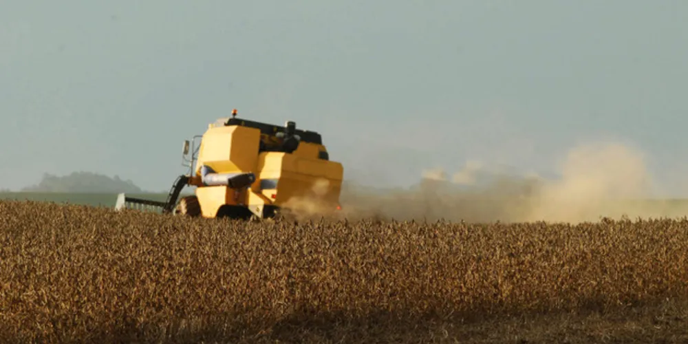 Nos Campos Gerais, a soja terá uma queda de 3% na produtividade