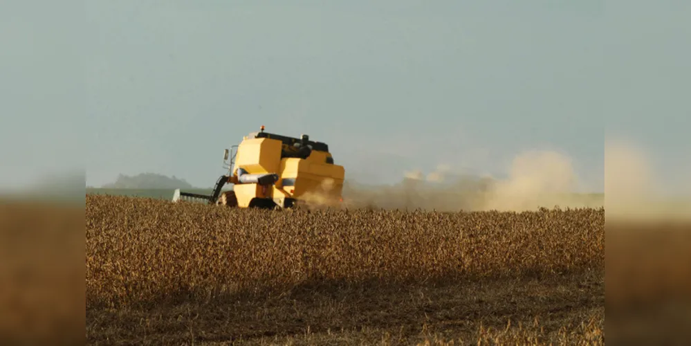 Nos Campos Gerais, a soja terá uma queda de 3% na produtividade