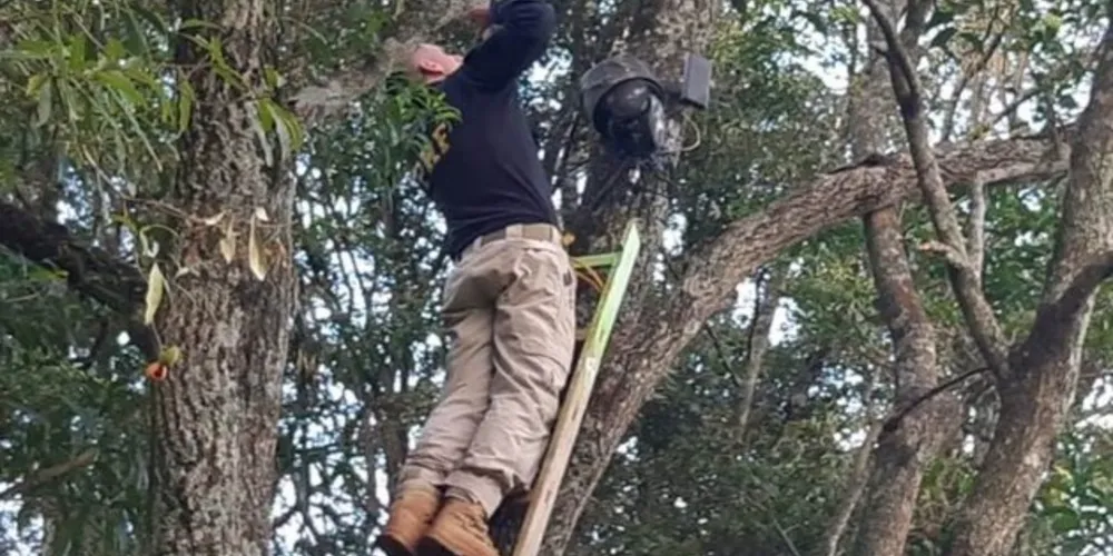 As investigações demonstraram indícios acerca do modus operandi dos núcleos criminosos, demonstrando o elo estável mantido entre seus integrantes para prática de crimes