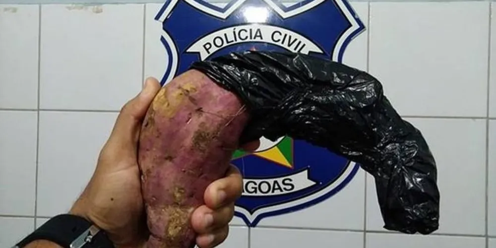 Planta com formato estranho foi apreendida e fez maior sucesso na delegacia
