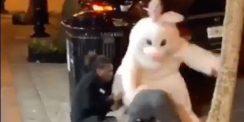 Testemunhas afirmaram que o agressor bateu e cuspiu na mulher, que foi socorrida pelo coelho