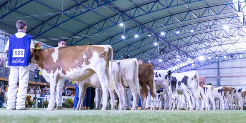 A avaliação genômica é uma ferramenta importante no campo de melhoramento animal, capaz de profissionalizar ainda mais o mercado