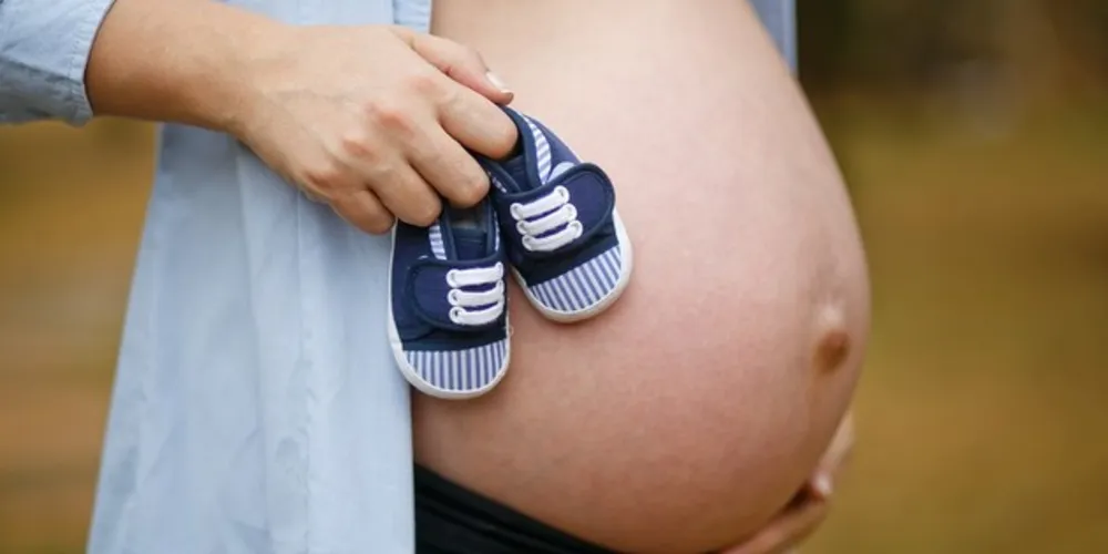 Imagem ilustrativa da imagem Gestantes podem ganhar book se fizerem o pré-natal