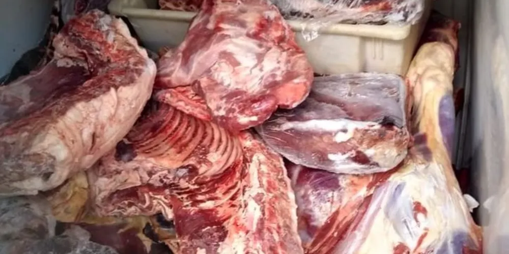 Fiscalização no bairro Palmeirinha, em Ponta Grossa, ocorreu depois de denúncia realizada no Serviço de Inspeção do Paraná