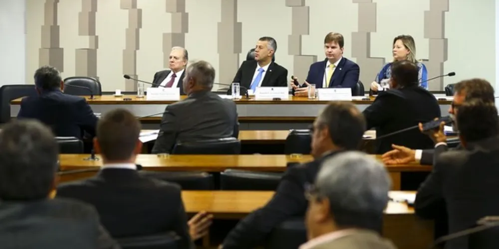 A MP também autoriza a União a participar de um fundo para financiar serviços técnicos especializados no setor.