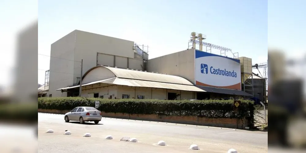 Imagem ilustrativa da imagem Cooperativa Castrolanda abre 12 vagas de emprego