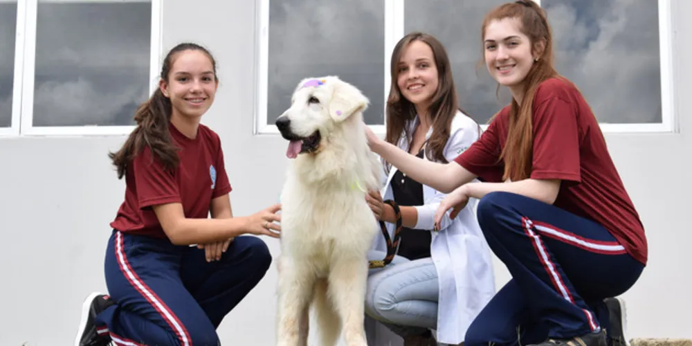 O objetivo do projeto é sensibilizar, crianças adolescentes e idosos a ter sentimentos de compaixão e empatia pelos animais, despertando a consciência ecológica e a posse responsável.
