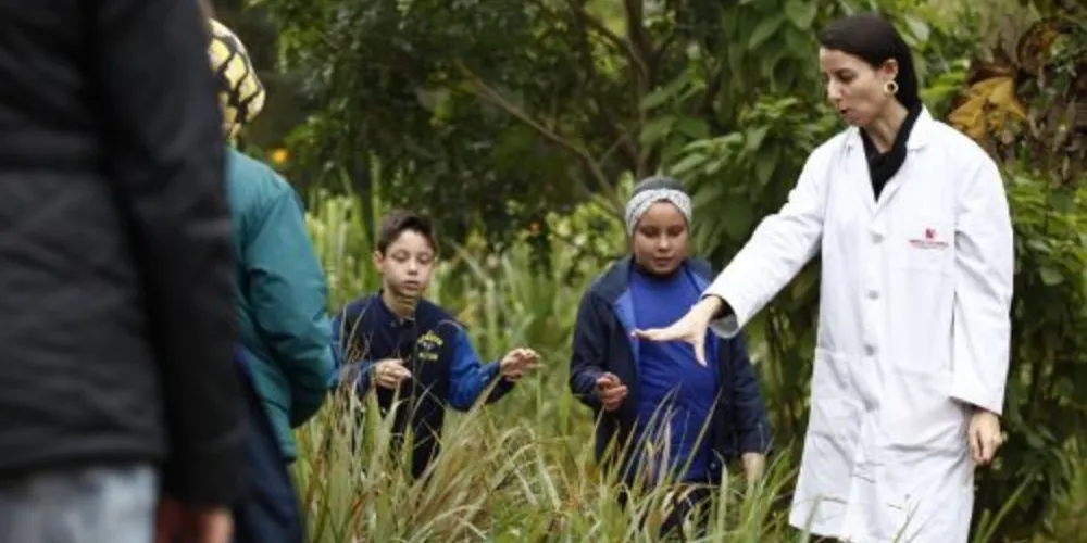 Ação promovida pelo curso de farmácia pretende contribuir para o combate à dengue