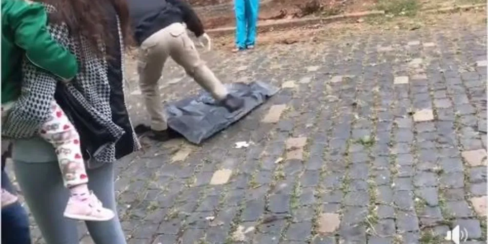 O detalhe é que cachorros de rua o encontraram e passaram a devorá-lo. População de cidade de região está perplexa
