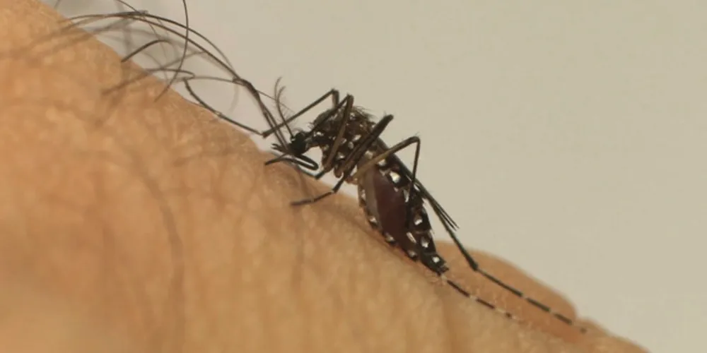 Há 41 municípios do Paraná que estão em alerta