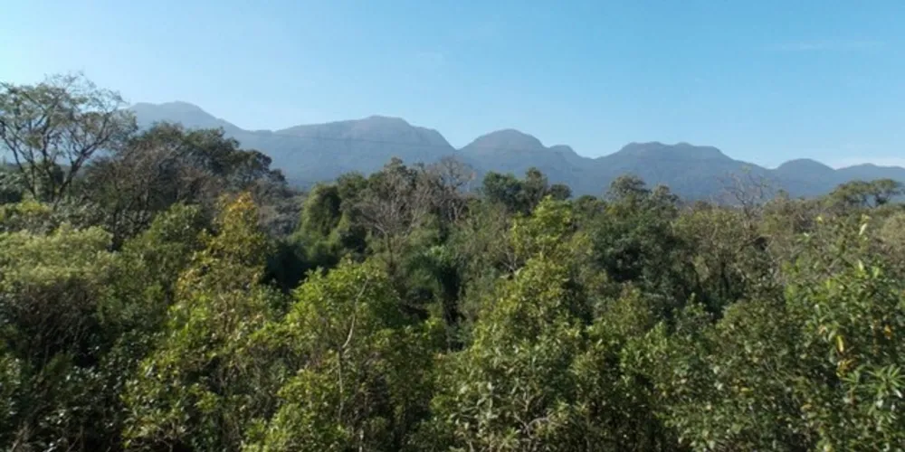 Mata Atlântica