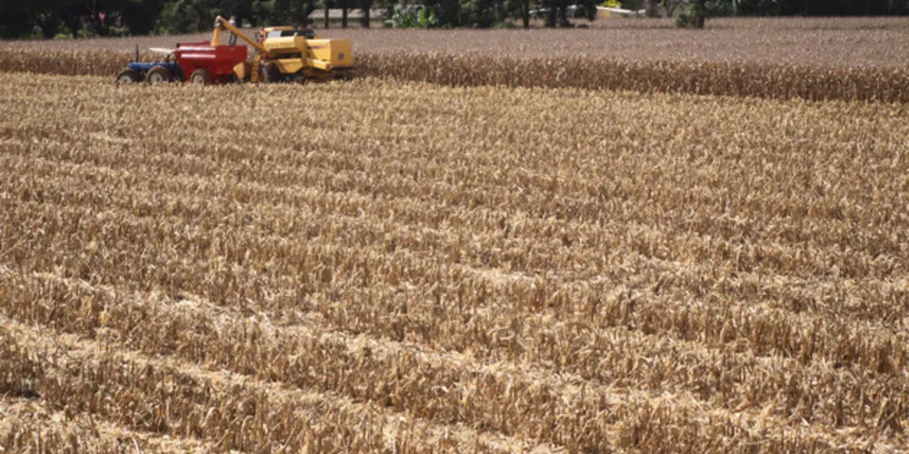 No total, 70% dos produtores apresentam o Plano de Conservação de Solo Águas (PCSA) ou Laudo Técnico (LT).
