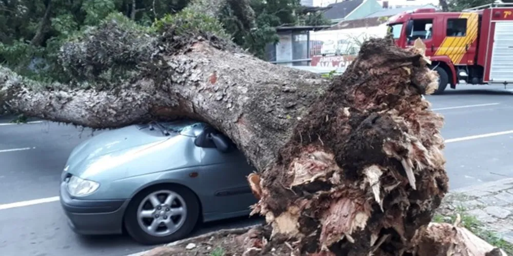 Incidente também atingiu pedestre que passava pelo local na hora da queda

