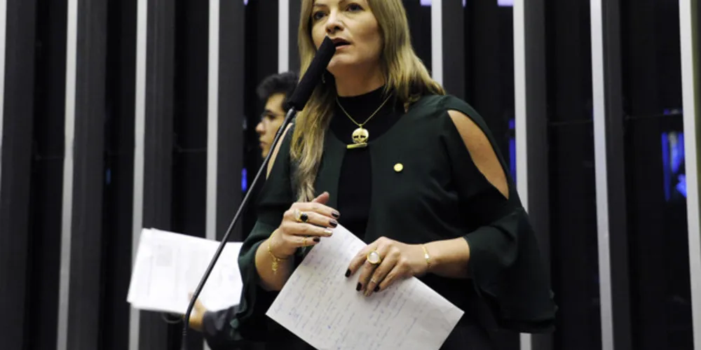 Imagem ilustrativa da imagem Aline Sleutjes assume
vice-presidência do PSL Mulher