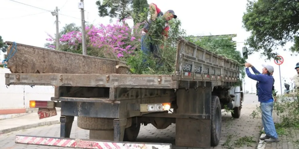 Além disso, foram pintados 5420 metros lineares de meio-fio e 26 árvores foram podadas
