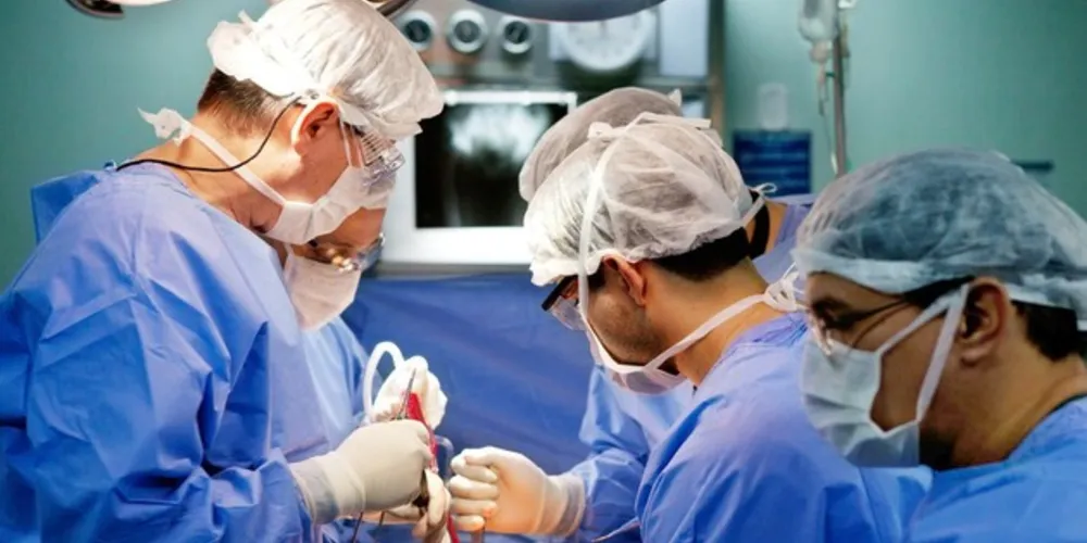 Além da oportunidade de doação, compatibilidade entre doador e receptor e acompanhamento pós-operatório são essenciais para o sucesso do procedimento

