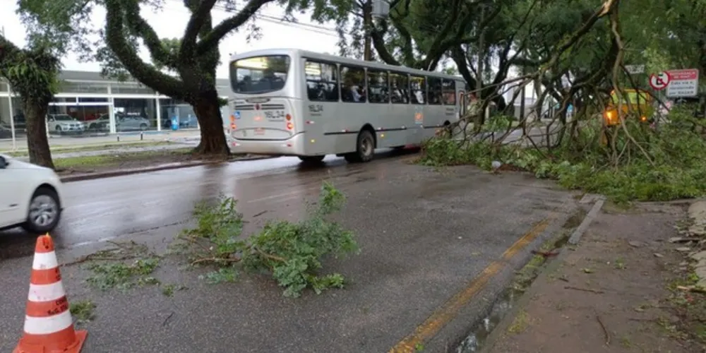 Na Avenida Getúlio Bargas, uma faixa da pista foi interditada com a queda de uma parte de um galho de árvore, na  região do bairro Água Verde.