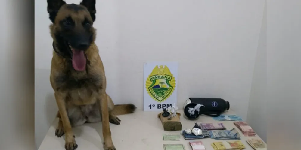 Drogas foram encontradas durante Operação Saturação em abordagem no Jardim Carvalho