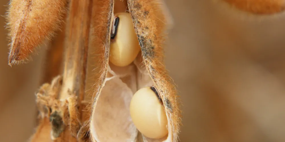 Empresa também apresenta herbicida que amplia produtividade da soja