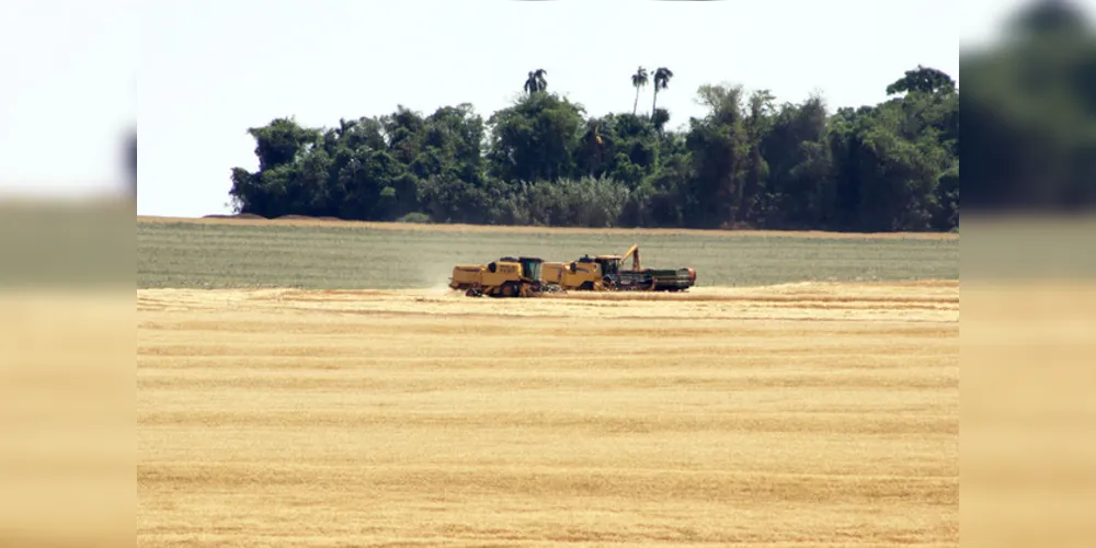 Em Ponta Grossa, das 640 fiscalizações realizadas, 35% (224) foram nas indústrias e no campo. 