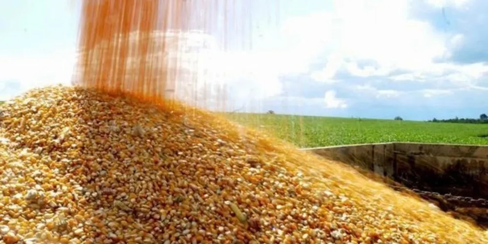 Produção de alimentos precisa crescer em 50% até 2050