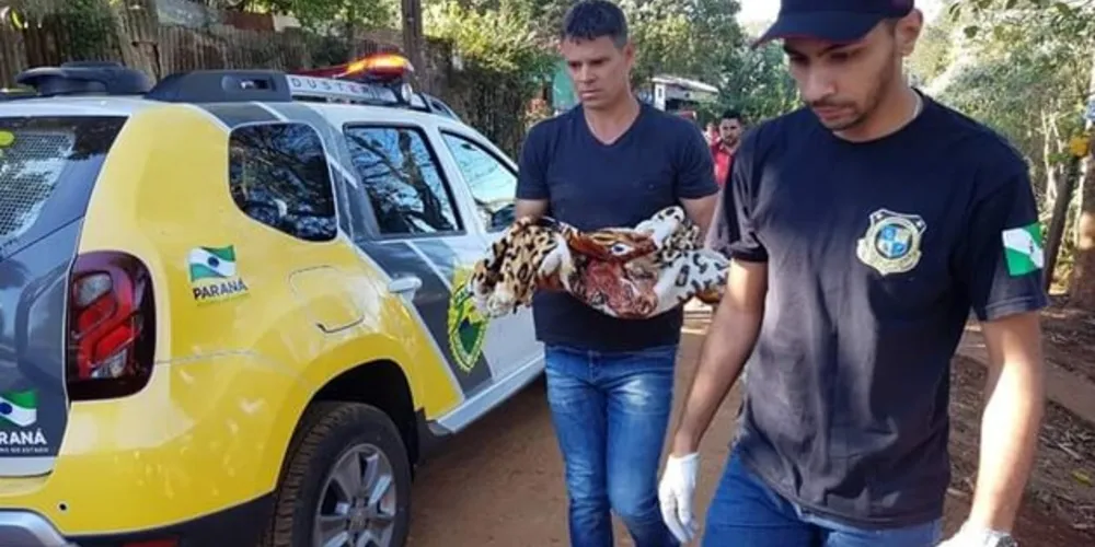  criança de quatro meses foi encontrada morta na manhã desta segunda-feira (17), no Jardim Modelo, em Campo Mourão